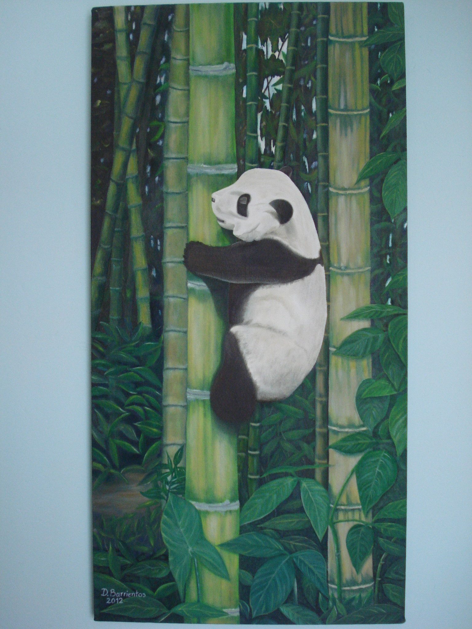 Oso Panda